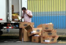 call attempt distribution analysis