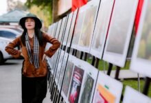 daily call activity reduction