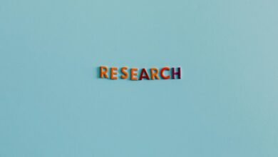 digital marketing solutions offered