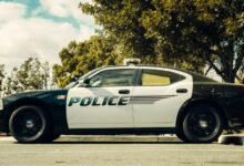 expert legal services offered