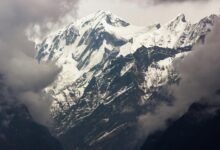 missed call trends analysis