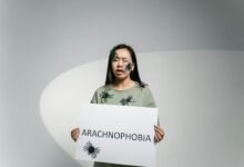 missed sessions callback behavior