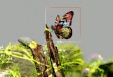 outlier identification short callers