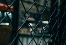 caller id investigation network