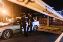 fraud detection reporting division