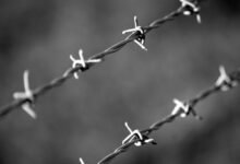 fraudulent caller safety division