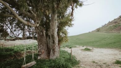 new earning opportunities explored