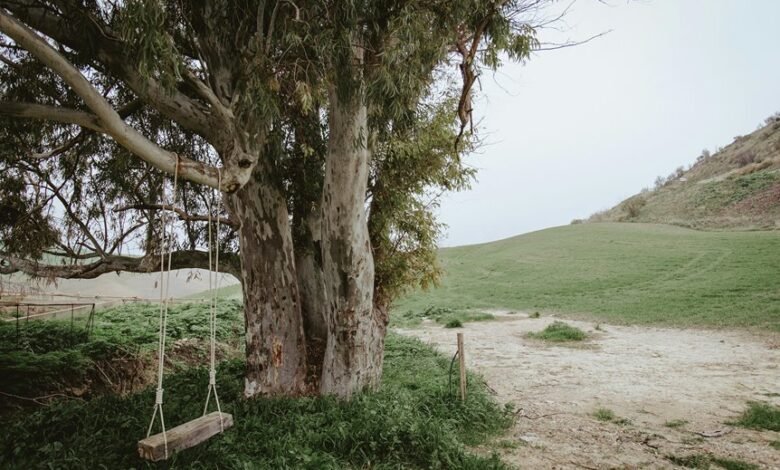 new earning opportunities explored